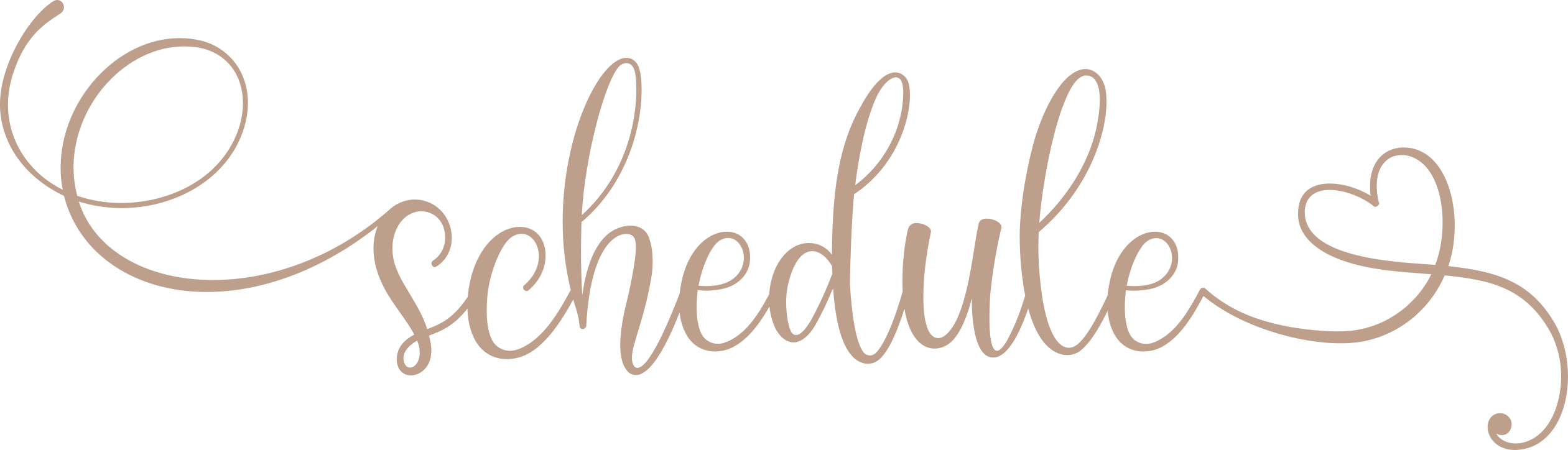 A handwritten script displaying the word 'schedule' in a light pink color, featuring elegant swirls and a heart accent.